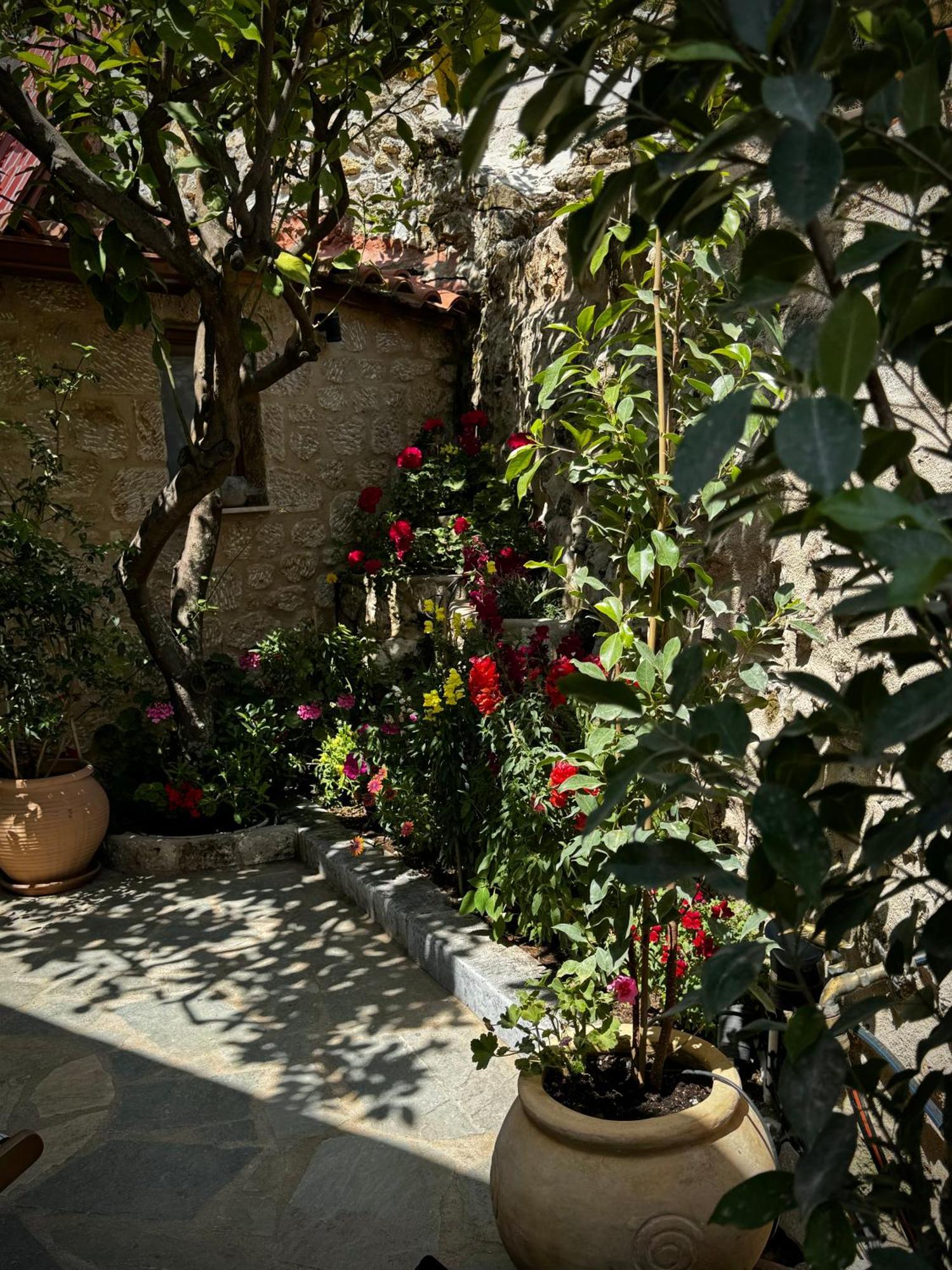 Villa Jasmine Stoúpa Exterior foto